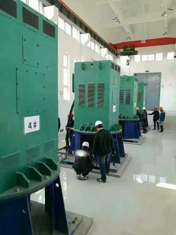 爱辉某污水处理厂使用我厂的立式高压电机安装现场